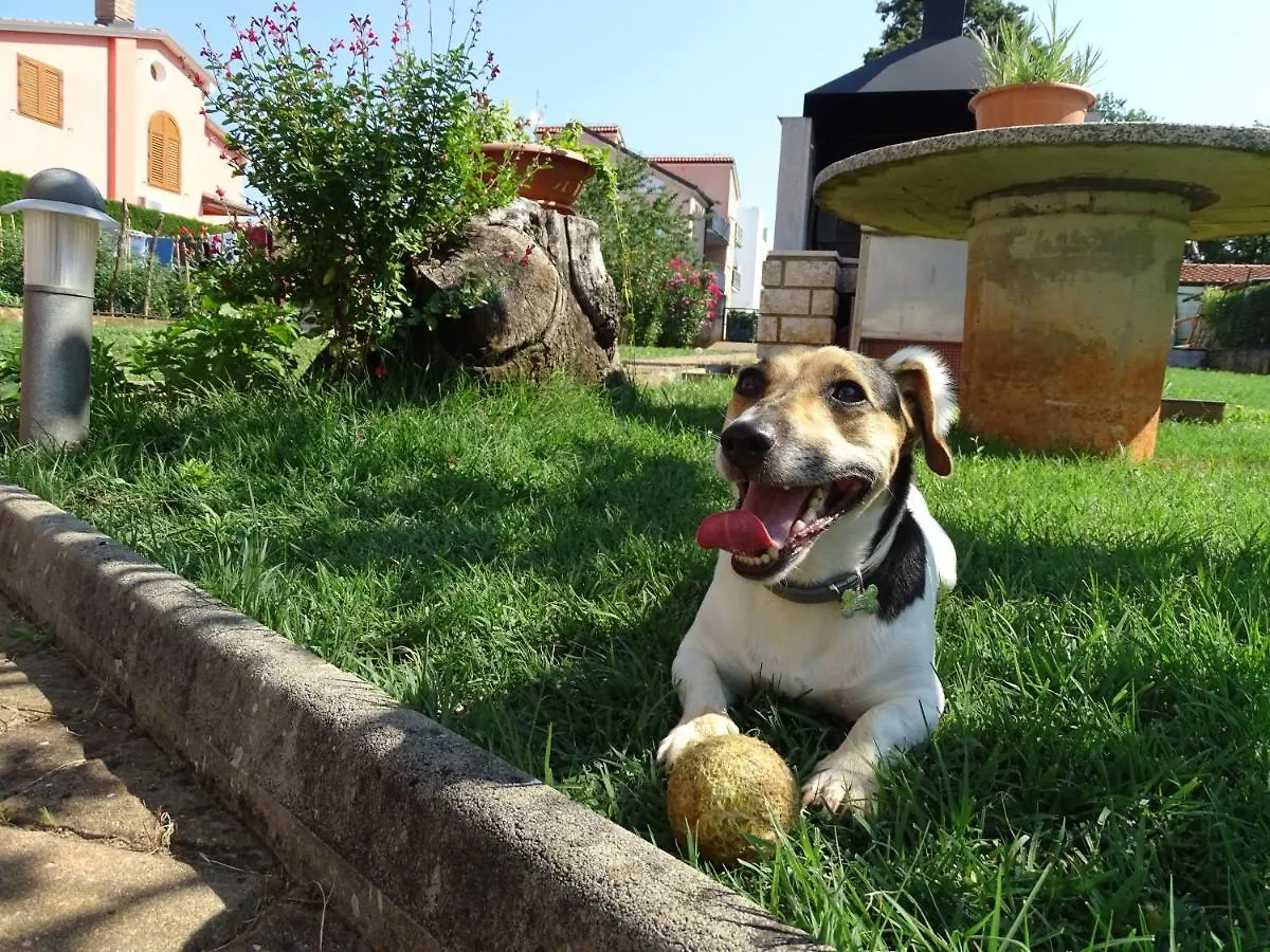 Olga Apartment Near The Beach Novigrad Istria