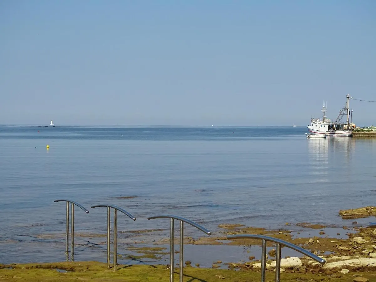 Olga Apartment Near The Beach Novigrad Istria 克罗地亚